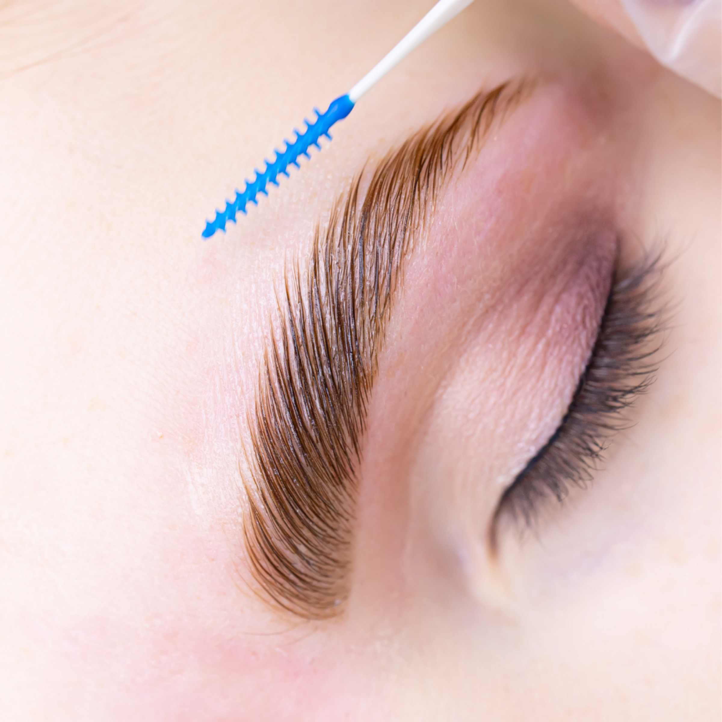 Pestañas y Cejas